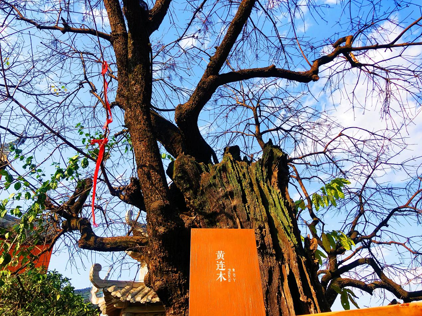 大石板古村：保護利用讓歷史文化“活”起來 ——全省城鄉(xiāng)建設歷史文化保護利用工作現(xiàn)場會在西昌大石板古村召開(圖3)