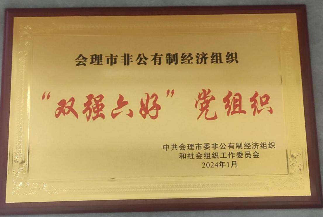 喜訊！礦業(yè)總公司財(cái)通公司黨支部榮獲會(huì)理市“雙強(qiáng)六好”黨組織稱號(hào)